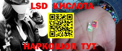 mdpv Краснознаменск